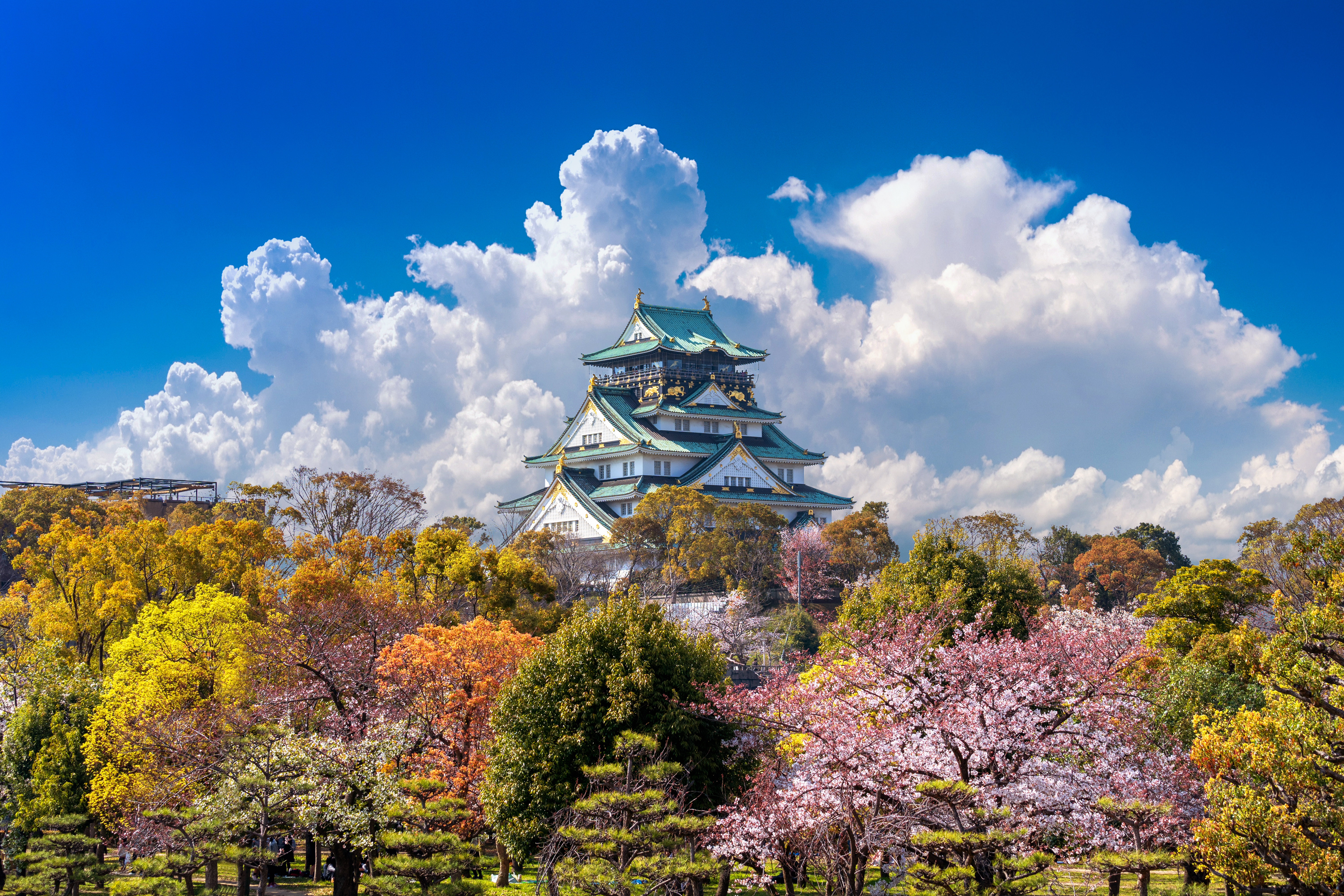 KỲ QUAN TUYẾT TATEYAMA KUROBE ALPINE ROUTE – LÀNG CỔ SHIRAKAWA-GO – MATSUMOTO – PHÚ SĨ - TOKYO